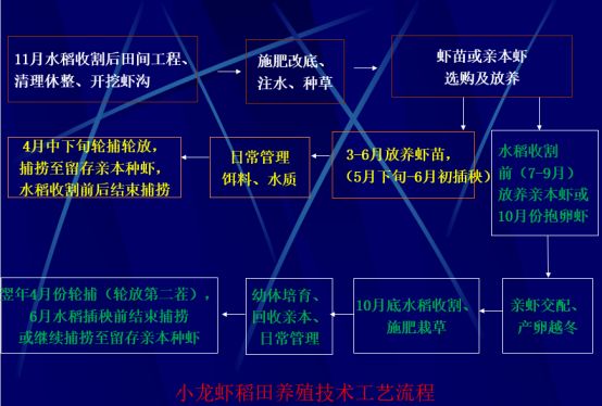 淡水虾北方养殖技术_淡水虾养殖技术教学视频_淡水虾养殖池