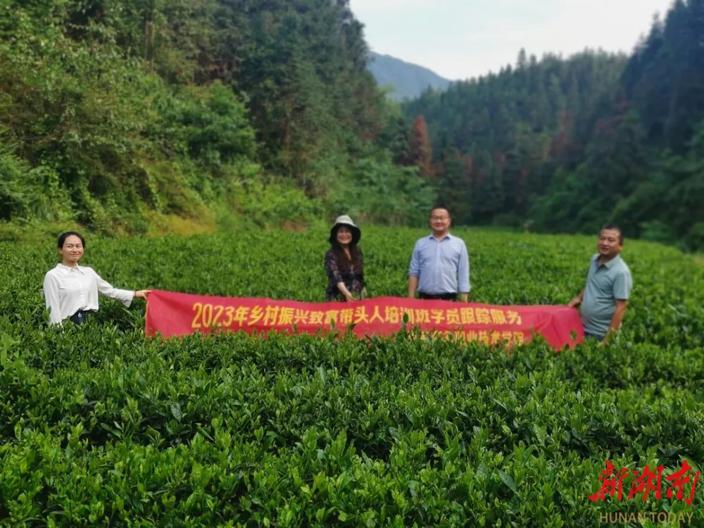 湖南商务职院专家团队精准开展乡村振兴致富带头人培训跟踪服务