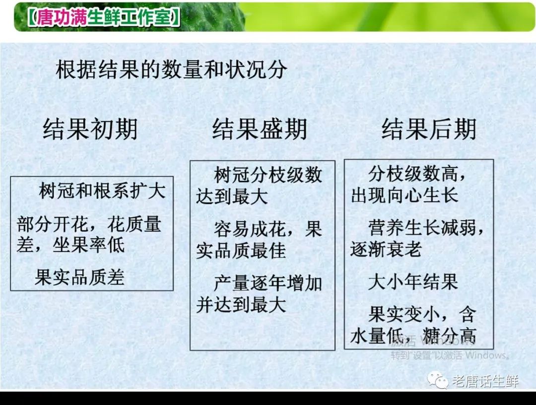 关于桃树的视频_种桃致富_有关桃树的致富经视频