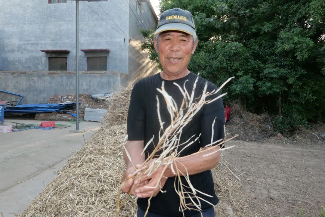 致富经种桃树视频_有关桃树的致富经视频_种桃致富