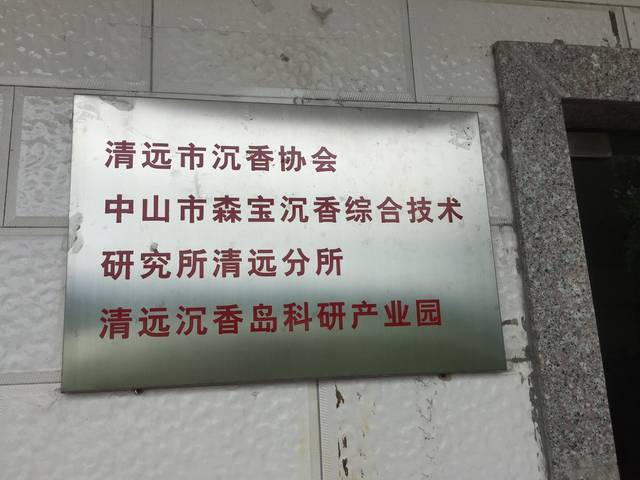 种沉香骗局_种植沉香前景如何_致富经种沉香