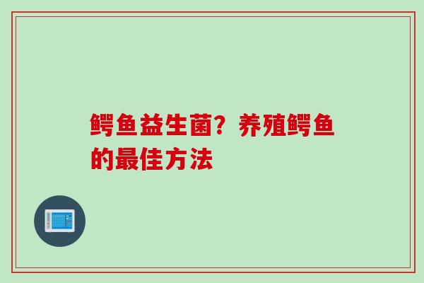 鳄鱼益生菌？养殖鳄鱼的最佳方法