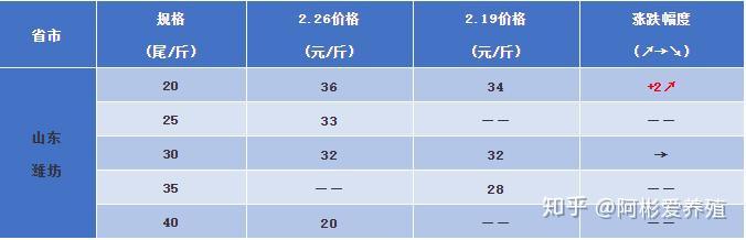 炒虾尾的虾是什么虾_致富虾真的_致富经 虾