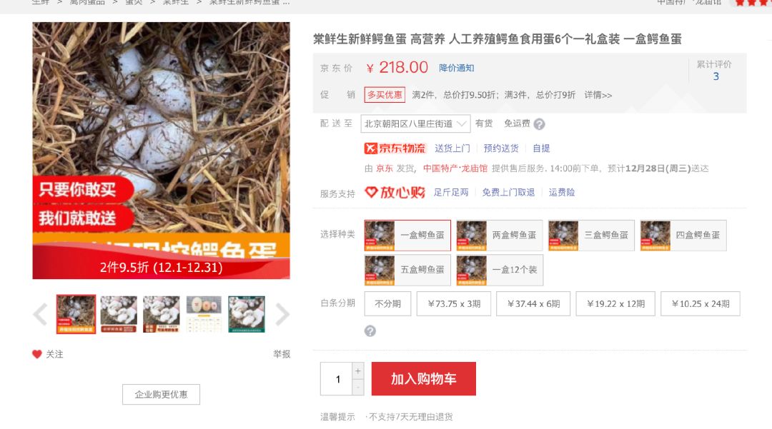 小鳄鱼养殖技术_鳄鱼养殖技术指导视频_鳄鱼养殖技术小知识