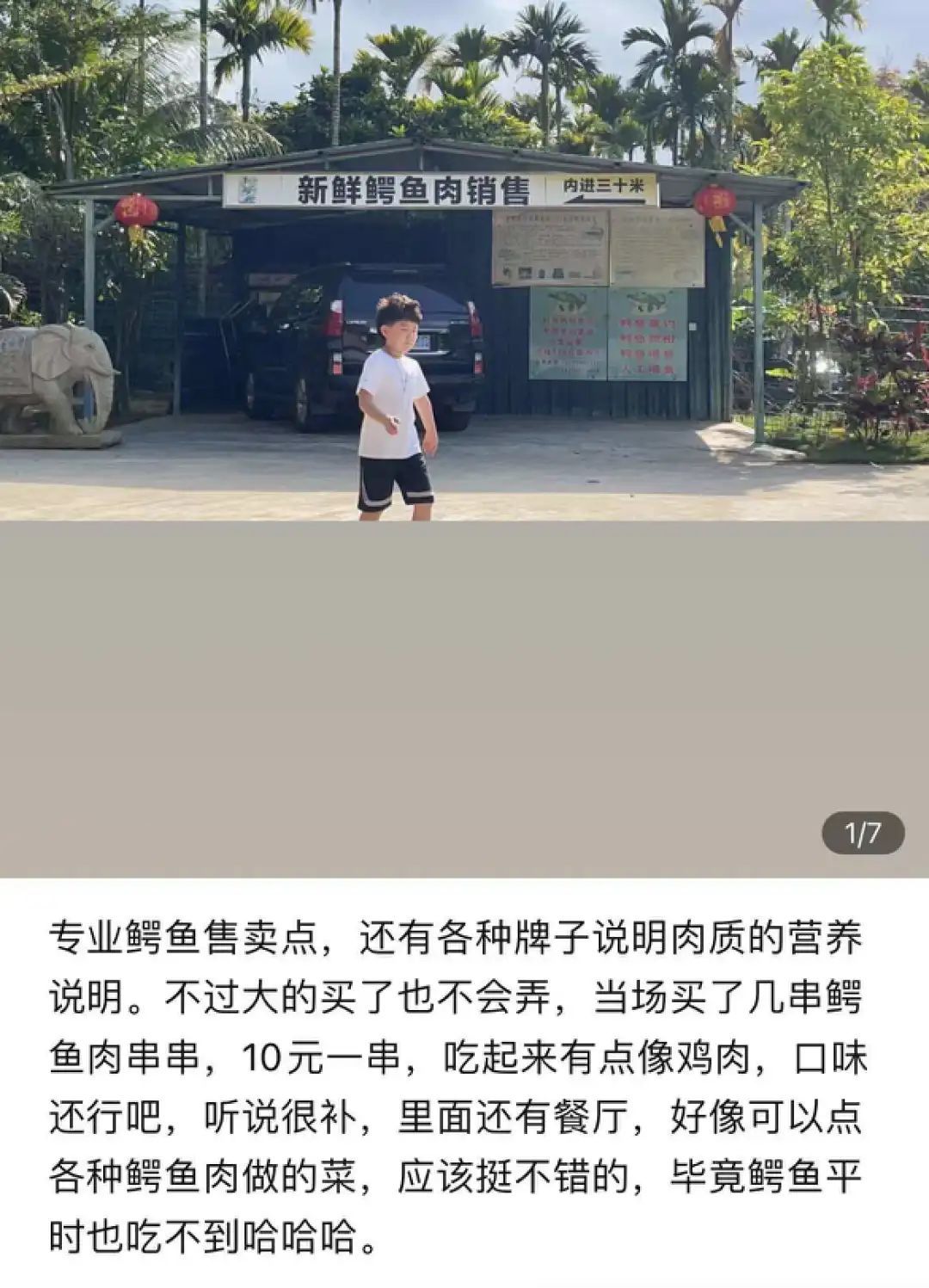 小鳄鱼养殖技术_鳄鱼养殖技术指导视频_鳄鱼养殖技术小知识