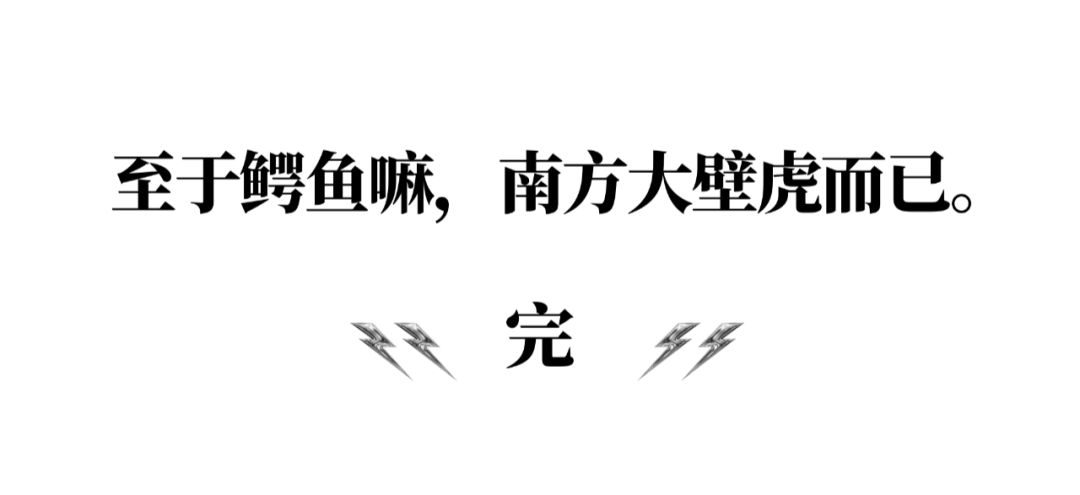 小鳄鱼养殖技术_鳄鱼养殖技术小知识_鳄鱼养殖技术指导视频