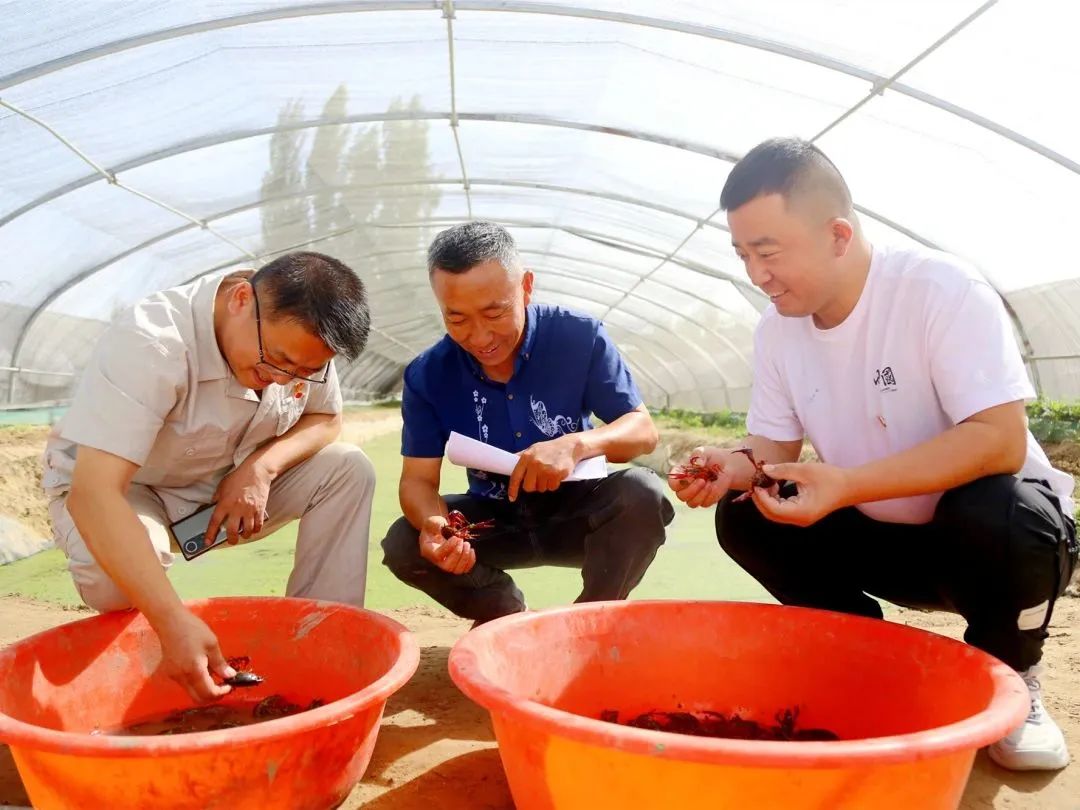 种植养殖致富吗_种养致富项目_致富农村养殖种植