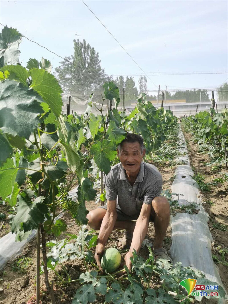 种植药材三七_致富种植三七怎么样_致富经种植三七