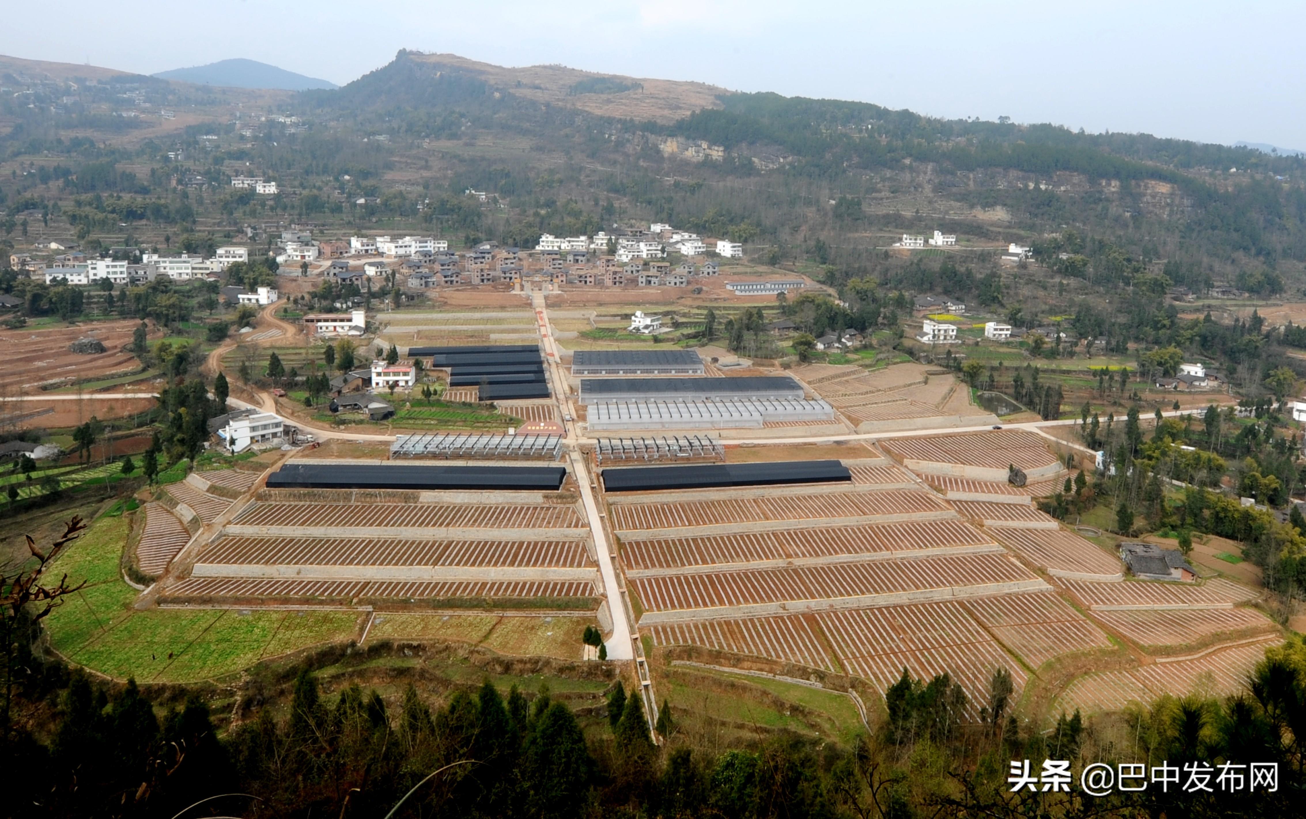 南江黄羊养殖基地视频_致富经养殖南江黄羊_养南江黄羊效益可以吗