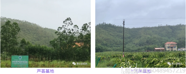 脱贫致富乡村振，一河两岸山区起