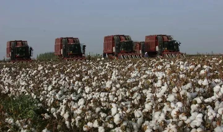 视频种植化现代技术研究_现代农业视频种植技术_现代化种植技术视频