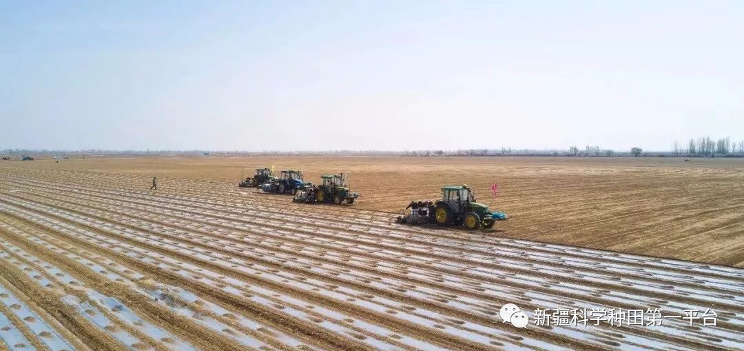 视频种植化现代技术研究_现代化种植技术视频_现代农业视频种植技术