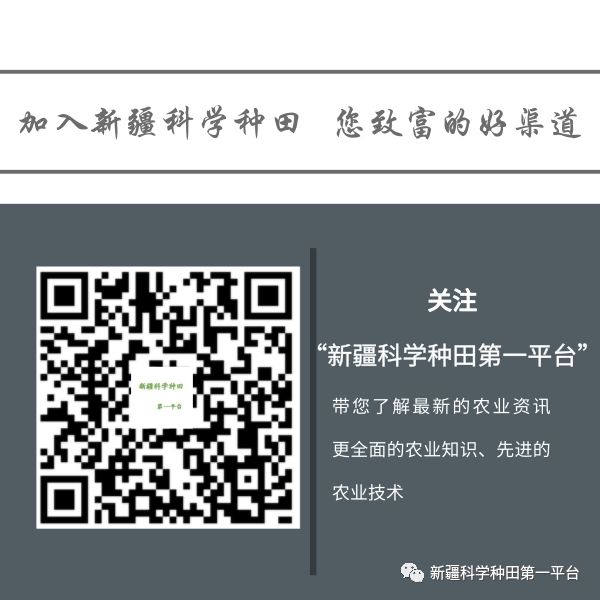 现代化种植技术视频_视频种植化现代技术研究_现代农业视频种植技术