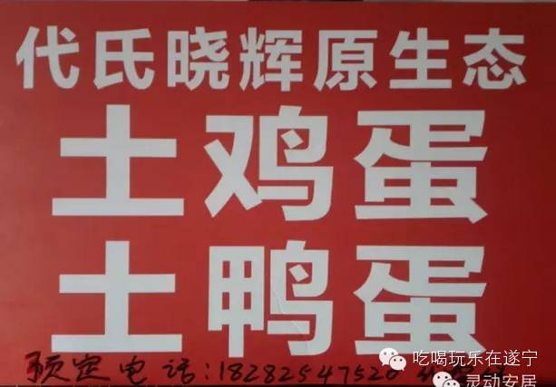 农村致富宝典今日鸭蛋价格_致富经鸭蛋_卖鸭蛋致富经