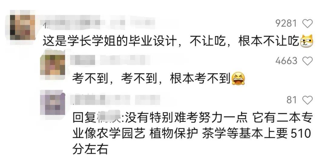 现代化种植技术视频_视频种植化现代技术是什么_视频种植化现代技术有哪些