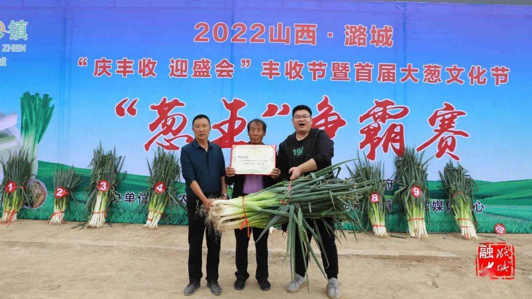 大葱种植高产新技术_大葱种植技术视频农广天地_大葱种植增收致富