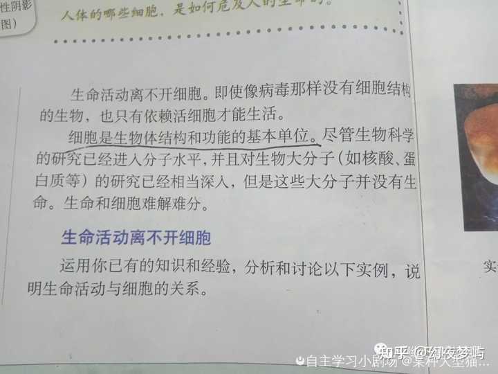 优质高中生学习经验_高中学生经验分享发言稿_高中学校经验分享