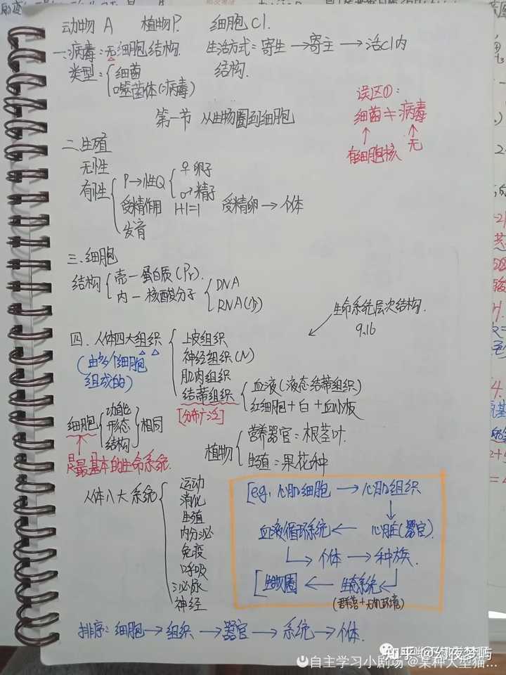 优质高中生学习经验_高中学生经验分享发言稿_高中学校经验分享