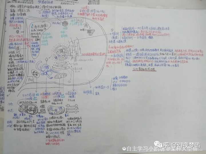 高中学校经验分享_优质高中生学习经验_高中学生经验分享发言稿