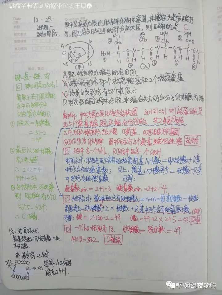 优质高中生学习经验_高中学生经验分享发言稿_高中学校经验分享