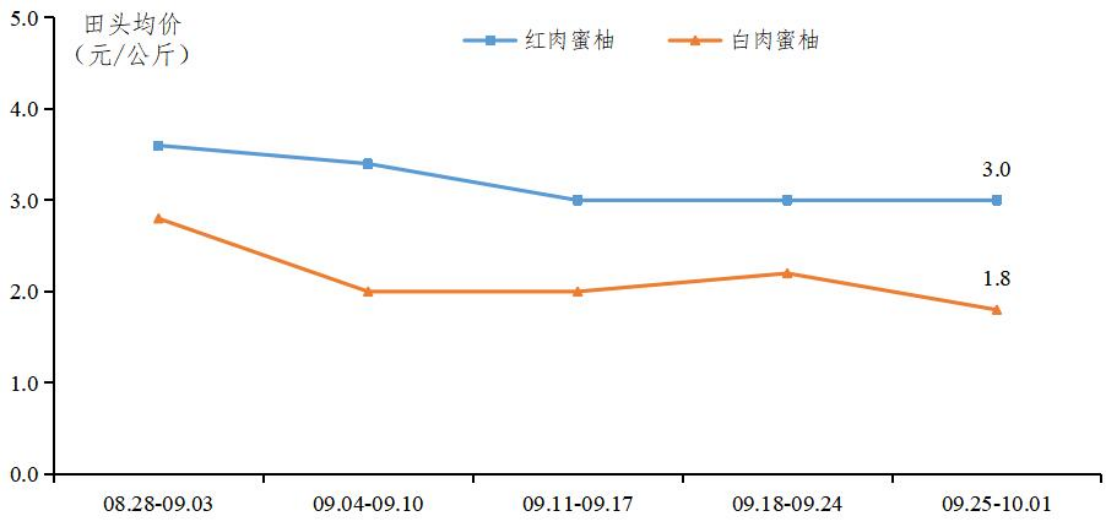 种沙糖桔管理技术大全_种植沙糖桔有什么要求_沙糖桔全年种植技术