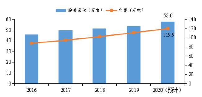 2020年广东省水果产销形势分析