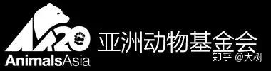 肉用犬养殖实用技术_养殖肉食用犬_实用犬养殖肉技术用途有哪些