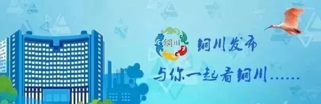 优质政务新媒体典型经验_优秀政务新媒体_政务新媒体优秀经验及先进做法