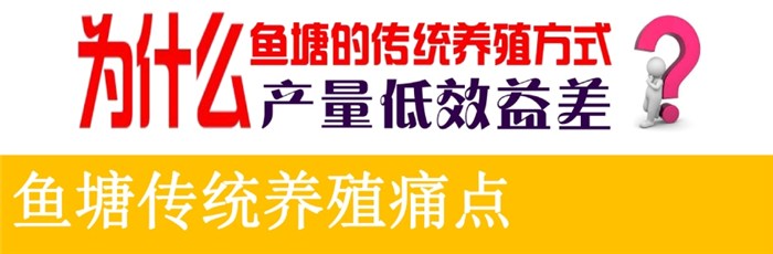 黑鱼增产增效养殖技术_黑鱼养殖成本和利润视频_养殖增效增产黑鱼技术方案