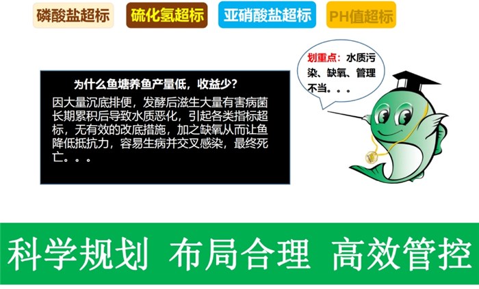 黑鱼养殖成本和利润视频_黑鱼增产增效养殖技术_养殖增效增产黑鱼技术方案