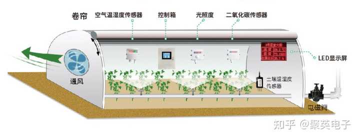 大棚黄瓜种植栽培管理技术_栽培黄瓜大棚种植管理技术要求_黄瓜大棚栽培技术视频