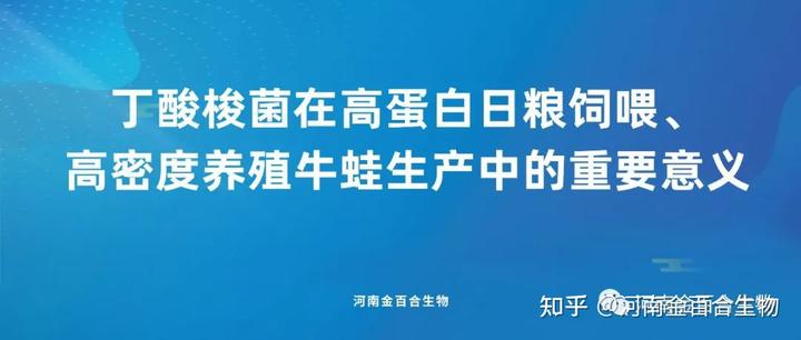 丁酸梭菌在高蛋白日粮饲喂、高密度养殖牛蛙生产中的重要意义