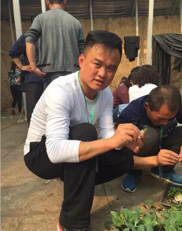 嫁接2.jpg