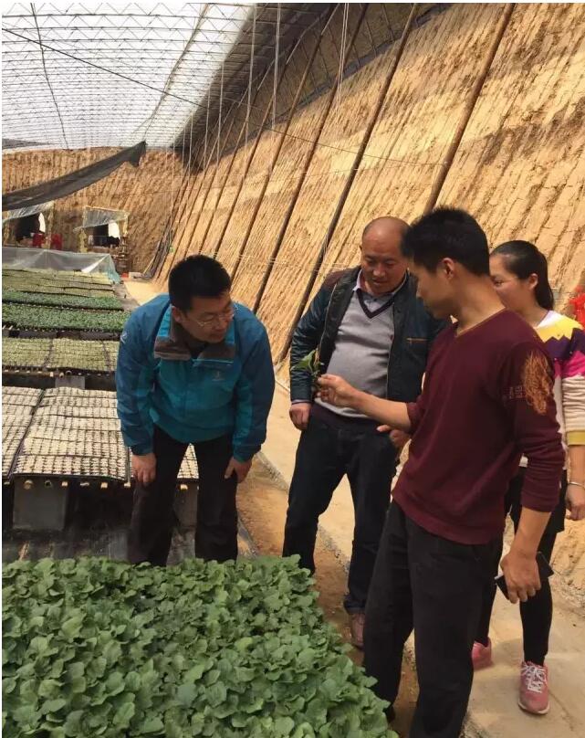育苗.jpg