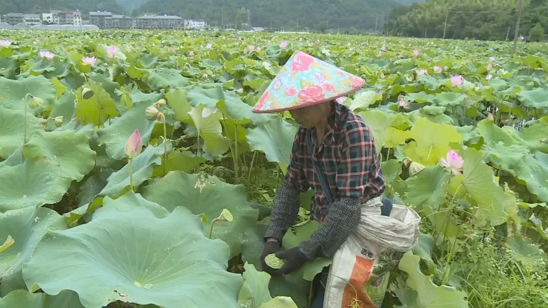 致富经_致富养殖项目_致富经 5000亩