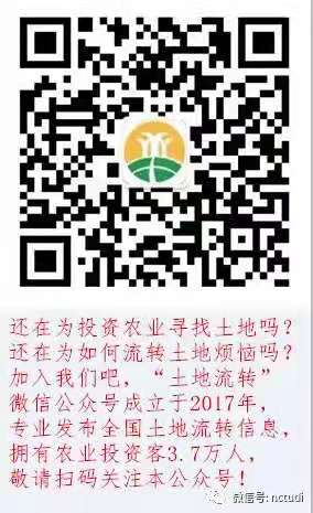 白及种植技术难不难_白及育苗栽培关键技术_白及栽培技术