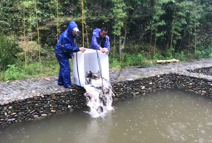 致富经山泉水养殖鱼视频_致富经泉水养草鱼_致富经活水养草鱼视频