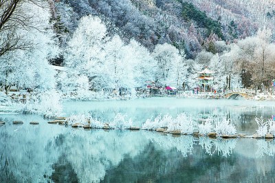 光明日报聚焦：东北三省冰雪“冷资源”如何变成“热经济”