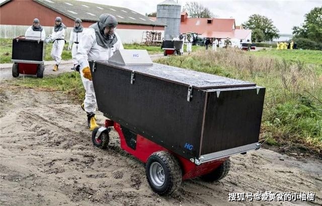 致富养殖衣服水貂做什么的_致富养殖衣服水貂做什么用_致富经养殖水貂做衣服