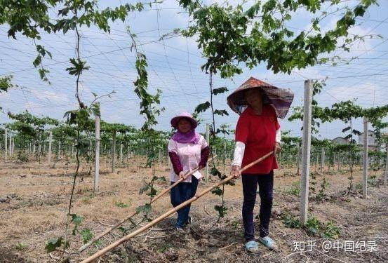 农村养殖业致富项目视频_土地养殖致富视频_养殖致富项目视频