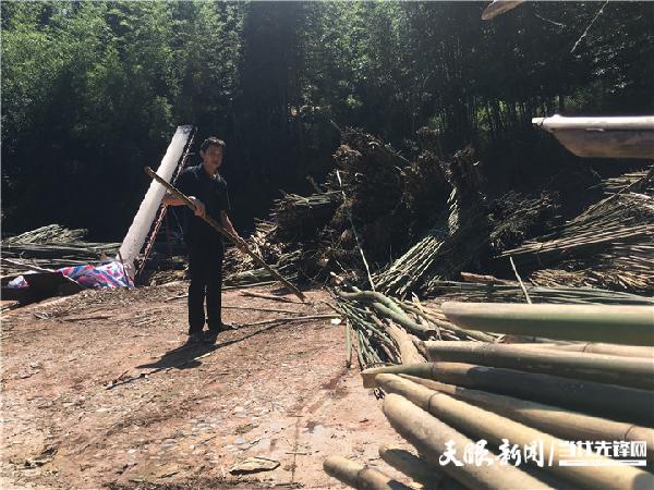 四川天麻种植基地_四川博士种天麻 致富经_四川天麻种植技术