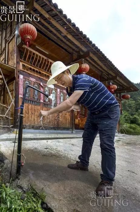 广东紫珠种植效益_紫珠如何种植_紫珠种植致富行业