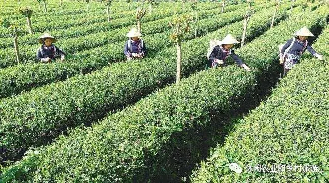 村庄规划发展战略_村庄规划好用管用实用_借鉴优质村庄规划经验