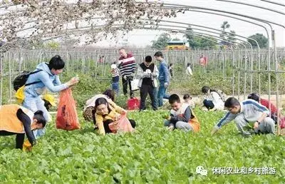 村庄规划好用管用实用_村庄规划发展战略_借鉴优质村庄规划经验