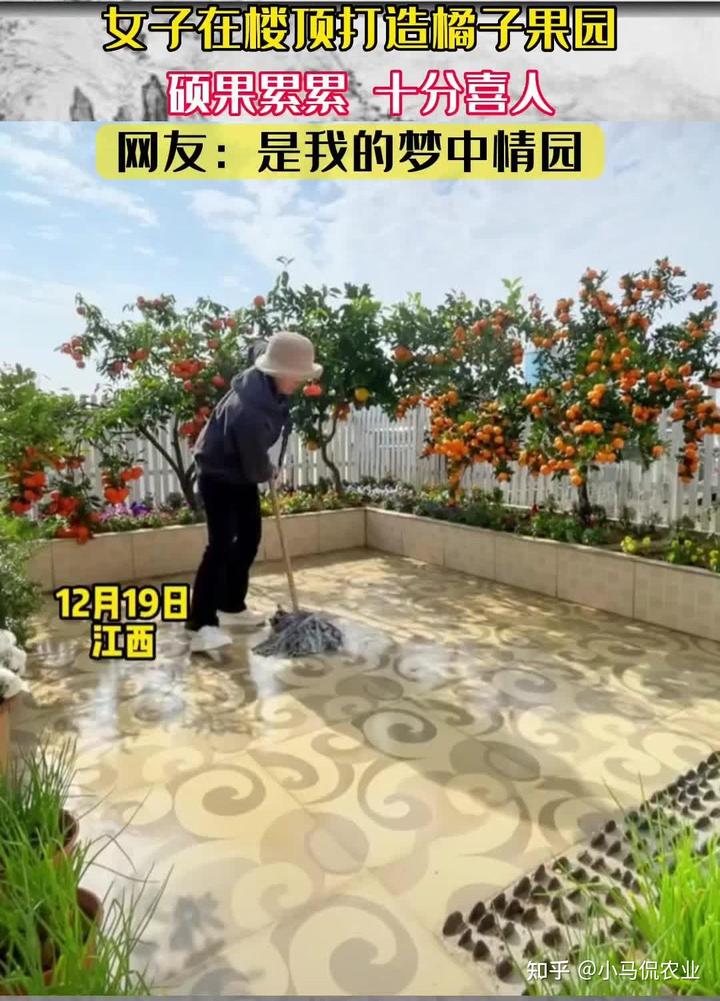 新闻致富种植空房怎么写_空房种植致富新闻_致富新闻网