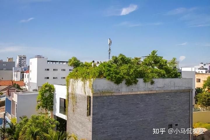 致富新闻网_新闻致富种植空房怎么写_空房种植致富新闻