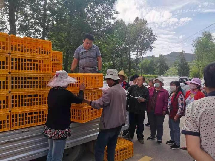 土地养殖致富视频_养殖致富项目视频_致富农村养殖种植