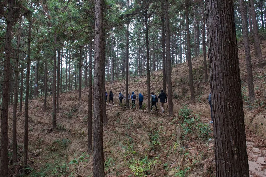 福建石蛙养殖技术_养殖石蛙技术视频_福建石蛙养殖基地