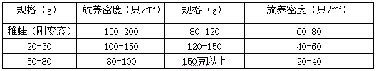 石蛙养殖场建设视频_福建石蛙养殖基地_福建石蛙养殖技术