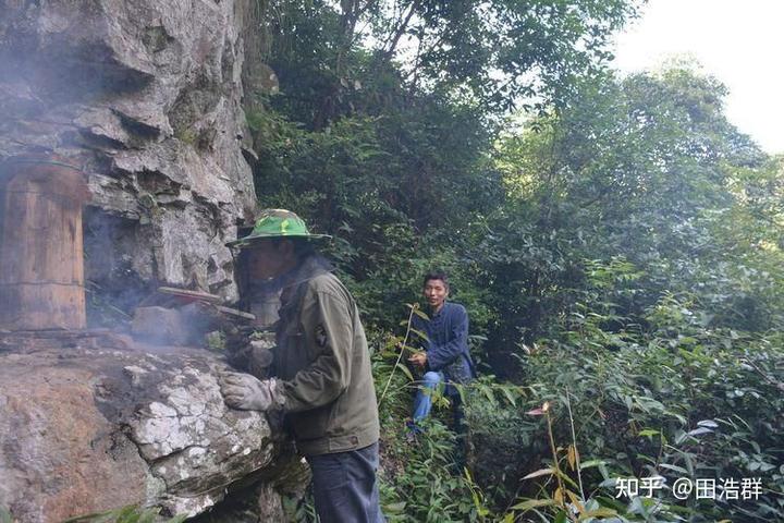 致富养殖养蜂视频_养蜂致富真的可以吗_养蜂养殖致富